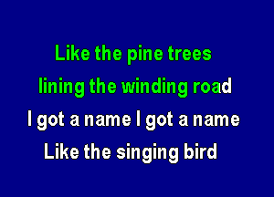 Like the pine trees
lining the winding road
lgot a name I got a name

Like the singing bird