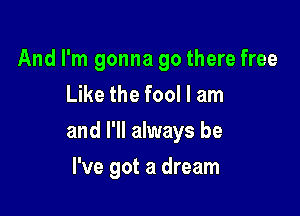 And I'm gonna go there free
Like the fool I am

and I'll always be

I've got a dream