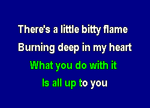 There's a little bitty flame
Burning deep in my heart

What you do with it
Is all up to you