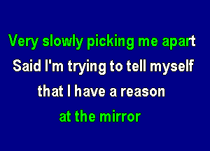 Very slowly picking me apart

Said I'm trying to tell myself
that l have a reason
at the mirror