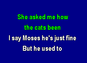 She asked me how
the cats been

I say Moses he's just fine
But he used to