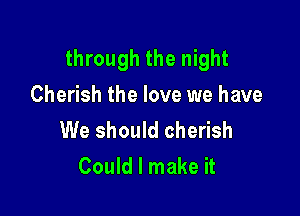 through the night

Cherish the love we have
We should cherish
Could I make it