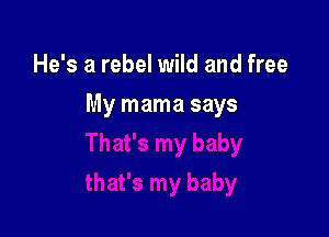 He's a rebel wild and free

My mama says