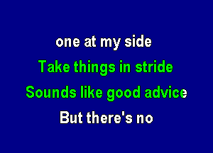 one at my side
Take things in stride

Sounds like good advice

But there's no