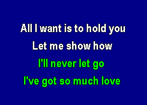 All I want is to hold you
Let me show how

I'll never let go

I've got so much love