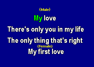 (Male)

My love
There's only you in my life

The only thing that's right

(Female)

My first love