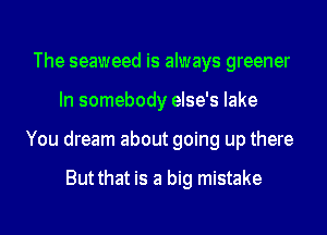 The seaweed is always greener
In somebody else's lake
You dream about going up there

But that is a big mistake