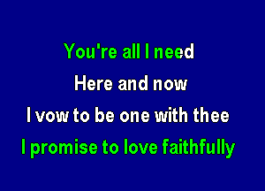 You're all I need
Here and now
lvow to be one with thee

I promise to love faithfully