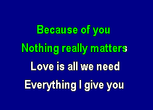 Because of you
Nothing really matters
Love is all we need

Everything I give you