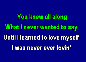 You knew all along
What I never wanted to say

Until I learned to love myself

I was never ever Iovin'