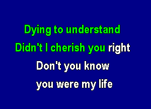 Dying to understand

Didn't I cherish you right

Don't you know
you were my life
