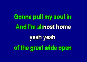 Gonna pull my soul in
And I'm almost home

yeah yeah

of the great wide open