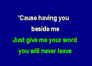 'Cause having you
beside me

Just give me your word

you will never leave