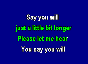 Say you will

just a little bit longer

Please let me hear
You say you will