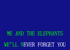 ME AND THE ELEPHANTS
WELL NEVER FORGET YOU