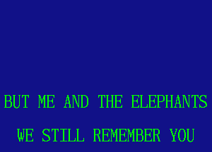 BUT ME AND THE ELEPHANTS
WE STILL REMEMBER YOU