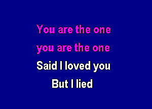 Said I loved you
But I lied