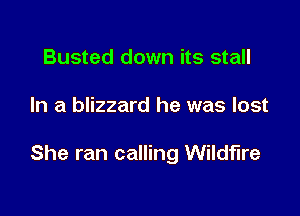 Busted down its stall

In a blizzard he was lost

She ran calling Wildfire
