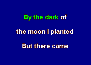 By the dark of

the moon I planted

But there came