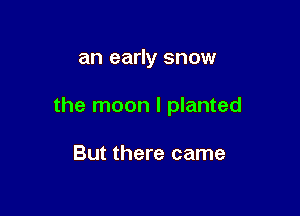 an early snow

the moon I planted

But there came