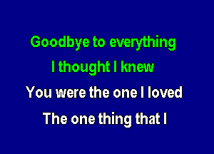 Goodbye to everything
I thought I knew

You were the one I loved
The one thing that I