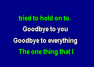 tried to hold on to.

Goodbye to you

Goodbye to everything
The one thing that I