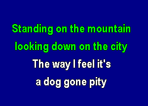 Standing on the mountain
looking down on the city
The way I feel it's

a dog gone pity