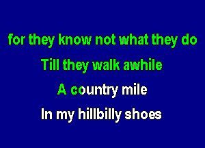 for they know not what they do

Till they walk awhile
A country mile

In my hillbilly shoes