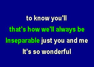 to know you'll
that's how we'll always be

lnseparable just you and me

It's so wonderful