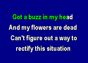 Got a buzz in my head

And my flowers are dead

Can't figure out a way to
rectify this situation