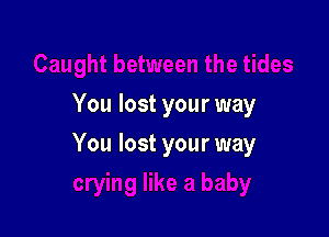 You lost your way

You lost your way