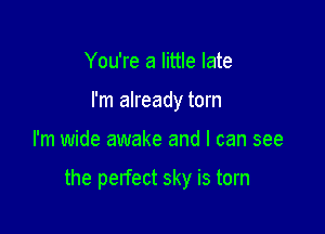 You're a little late
I'm already torn

I'm wide awake and I can see

the perfect sky is torn