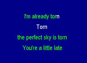 I'm already torn

Tom

the perfect sky is torn

You're a little late