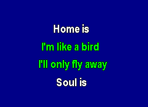 Home is
I'm like a bird

I'll only fly away

Soul is