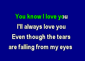 You know I love you
I'll always love you
Even though the tears

are falling from my eyes