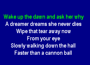 Wake up the dawn and ask herwhy
A dreamer dreams she never dies
Wipethattear away now
From your eye
Slowly walking down the hall
Faster than a cannon ball