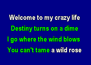 Welcome to my crazy life
Destiny turns on a dime

I go where the wind blows

You can't tame a wild rose