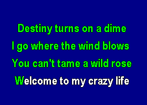 Destiny turns on a dime
I go where the wind blows
You can't tame a wild rose
Welcome to my crazy life
