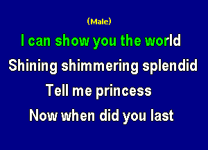 (Male)

I can show you the world
Shining shimmering splendid
Tell me princess

Now when did you last