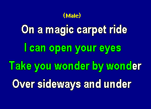 (Male)

On a magic carpet ride
I can open your eyes

Take you wonder by wonder

Over sideways and under