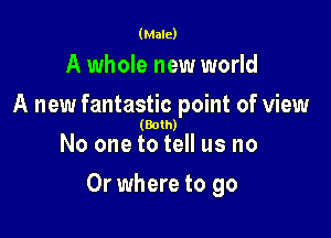 (Male)

A whole new world
A new fantastic point of view

(Both)

No one to tell us no

0r where to go