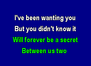 I've been wanting you

But you didn't know it
Will forever be a secret
Between us two