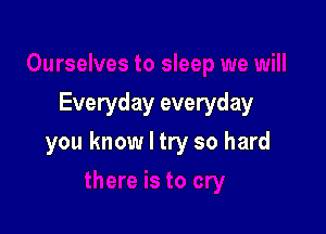 Everyday everyday

you know I try so hard