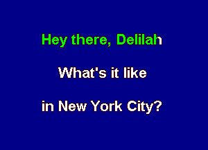 Hey there, Delilah

What's it like

in New York City?