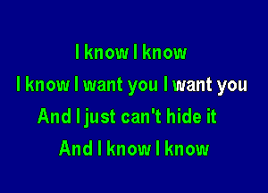 I know I know

I know I want you lwant you

And ljust can't hide it
And I know I know