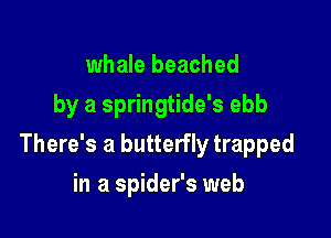 whale beached
by a springtide's ebb

There's a butterfly trapped

in a spider's web