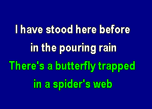 l have stood here before
in the pouring rain

There's a butterfly trapped

in a spider's web