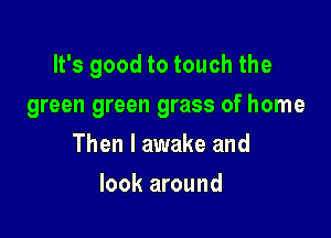 It's good to touch the

green green grass of home

Then I awake and
look around