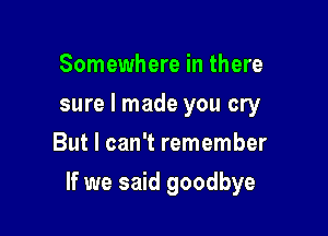 Somewhere in there
sure I made you cry
But I can't remember

If we said goodbye