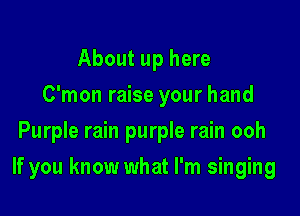 About up here
C'mon raise your hand
Purple rain purple rain ooh

If you know what I'm singing